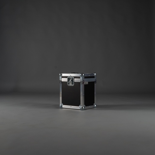 [TPL000032] Case für 1 x Schill GT310