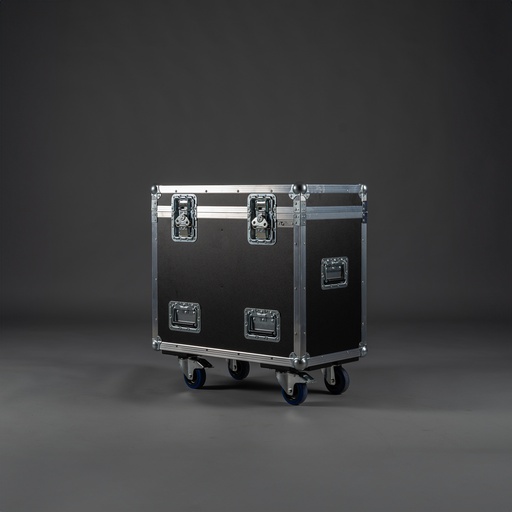 [TPL000091] Case für 2x Sennheiser LSP500