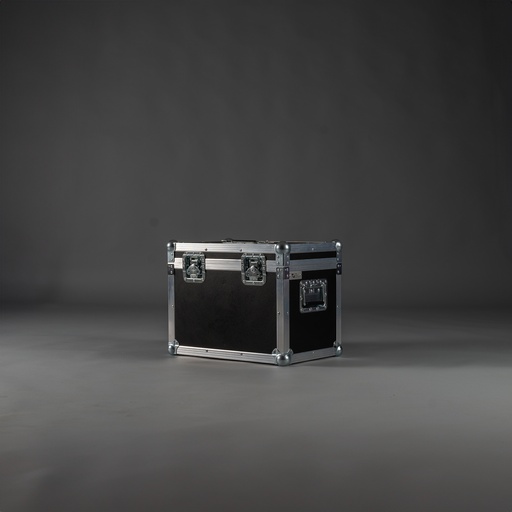 [TPL000053-001] Case für 2 x Schill GT310